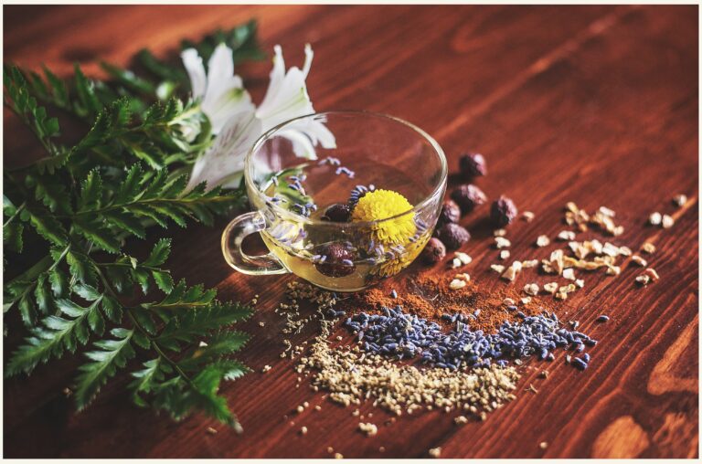 A Guide to Herbal Detox Programs for Weight Loss